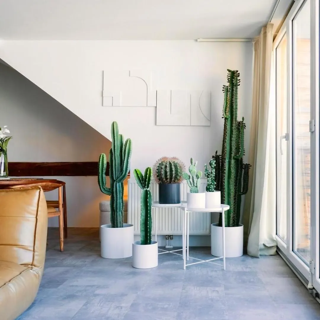 Zentrales Design-Apartment Mit Schlossbergblick Apartament